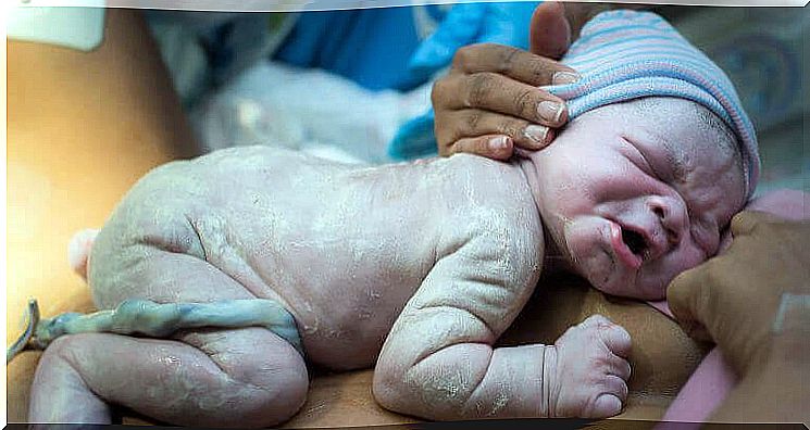 Newborn baby