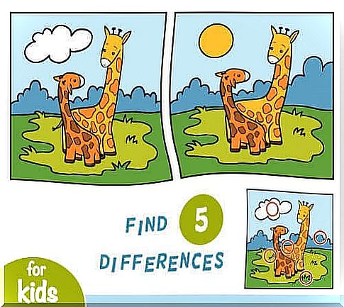 Find Five Faults with Giraffes