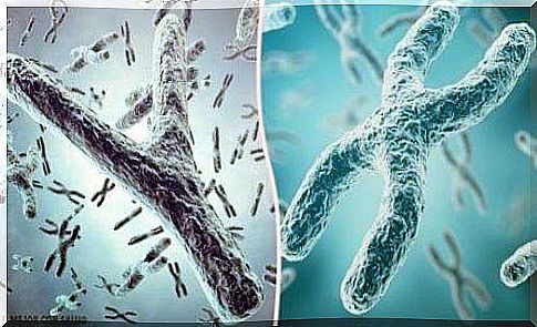 Illustration of X and Y chromosomes