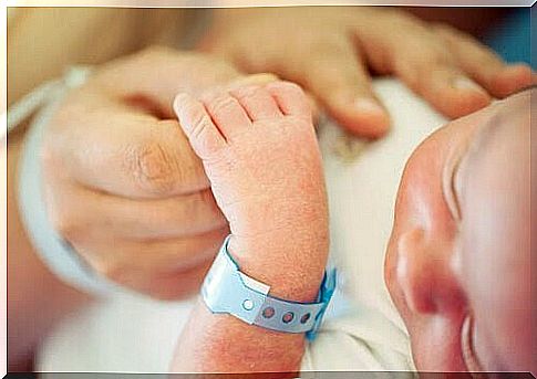 newborn baby holding adult's hand