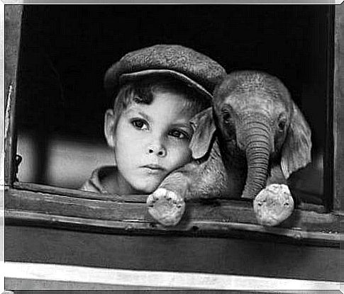 Boy with elephant.