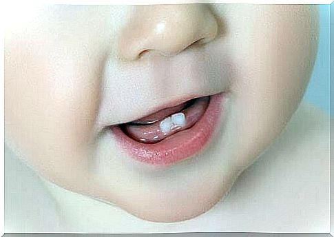 Baby mouth with two teeth