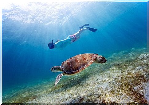 Children and turtle.