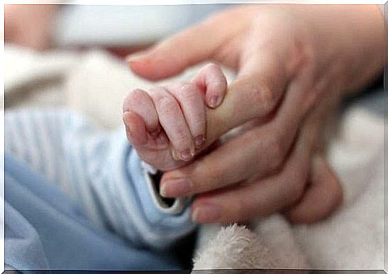 baby hand holding adult finger