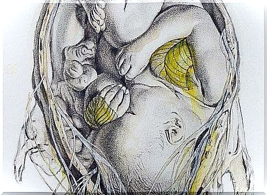 baby in the womb